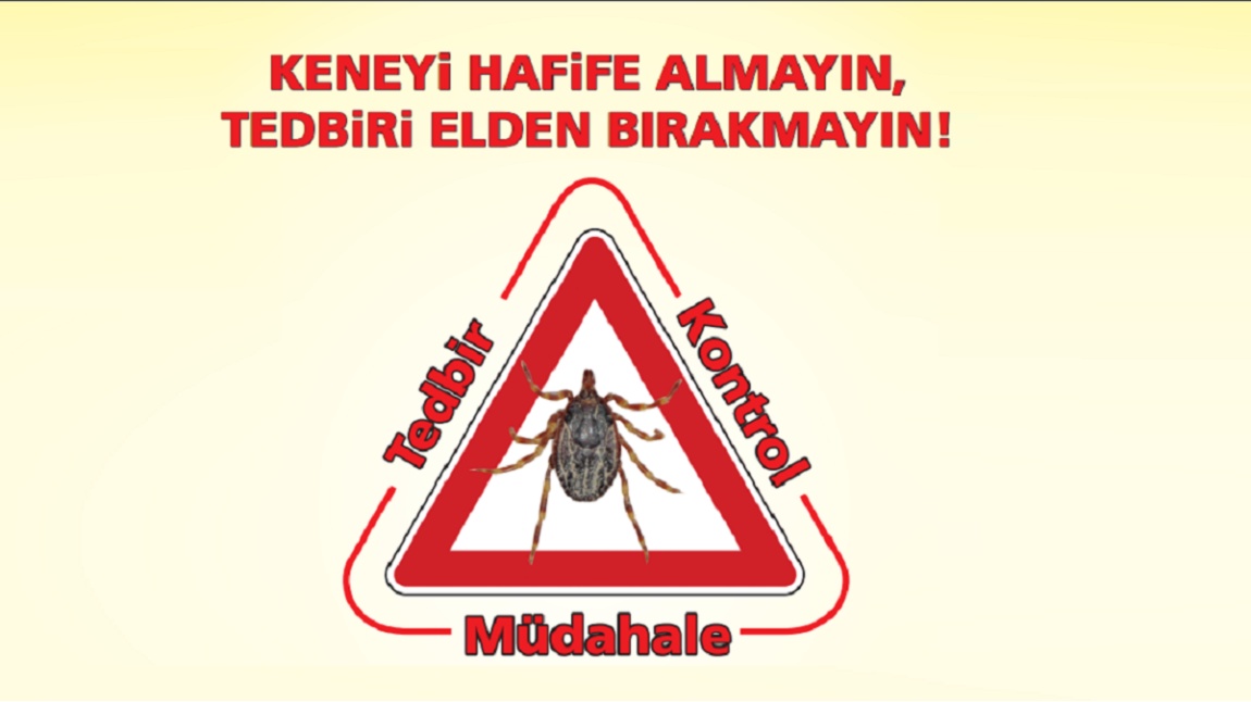 Keneyi Hafife Almayın, Tedbiri Elden Bırakmayın!